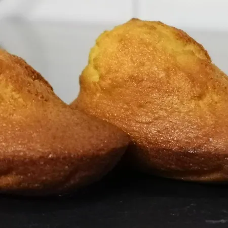 De Got Hotel Villandraut